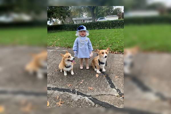Kentucky toddler who dressed up as the Queen for Halloween gets royal mail
