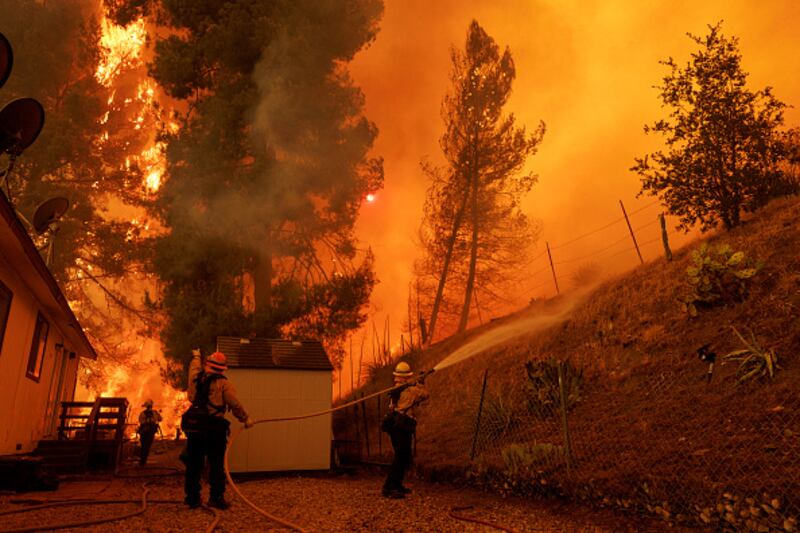 wildfire