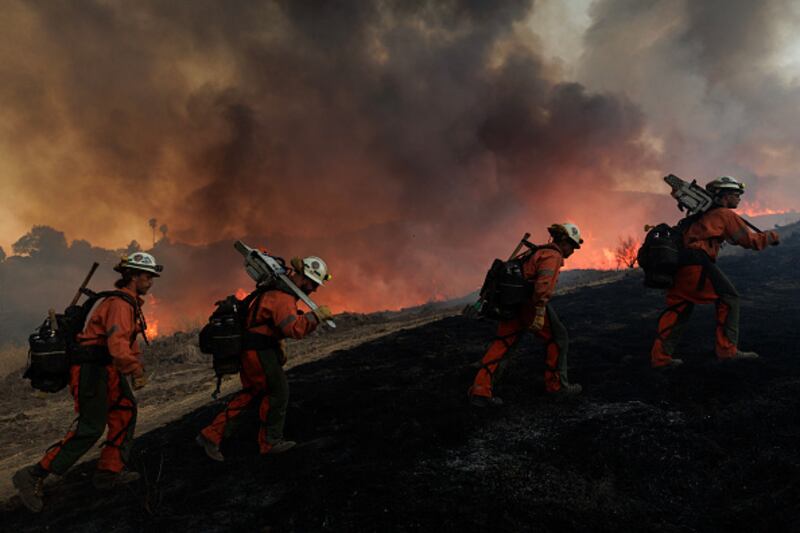 wildfire