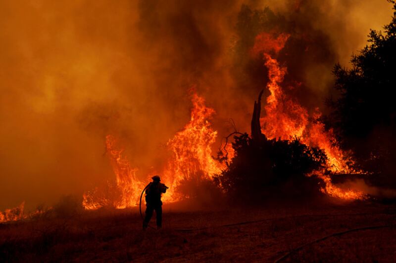 wildfire